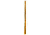 Gloss Finish Didgeridoo (TW1424)